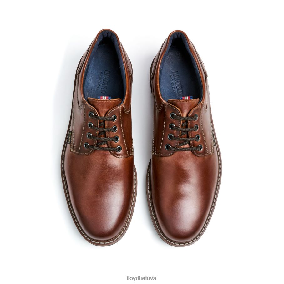 LLOYD vanja vyrų avalynė rudas VF40PZ125