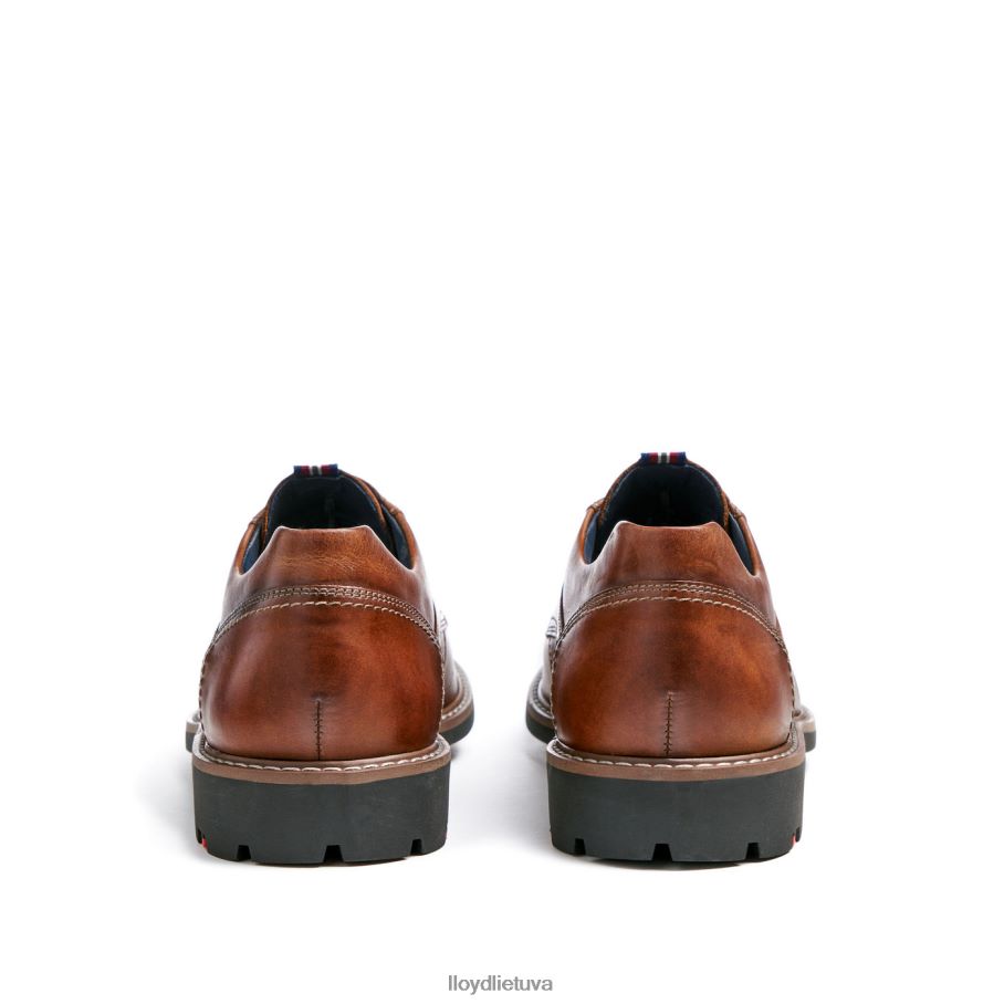 LLOYD vanja vyrų avalynė rudas VF40PZ125