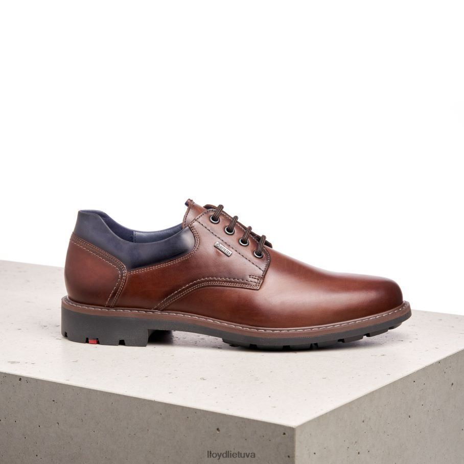 LLOYD vanja vyrų avalynė rudas VF40PZ576