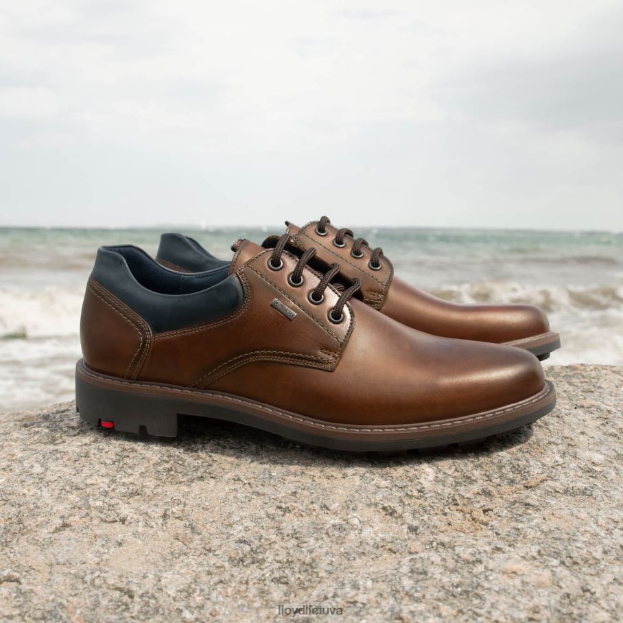 LLOYD vanja vyrų avalynė rudas VF40PZ576