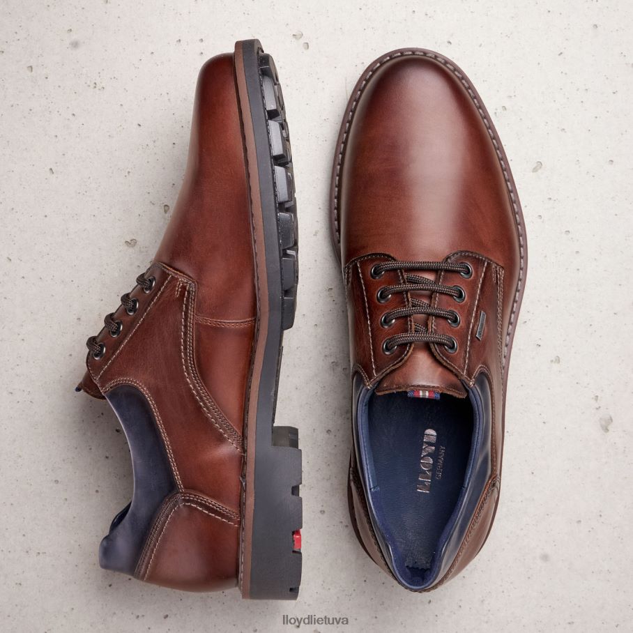 LLOYD vanja vyrų avalynė rudas VF40PZ576