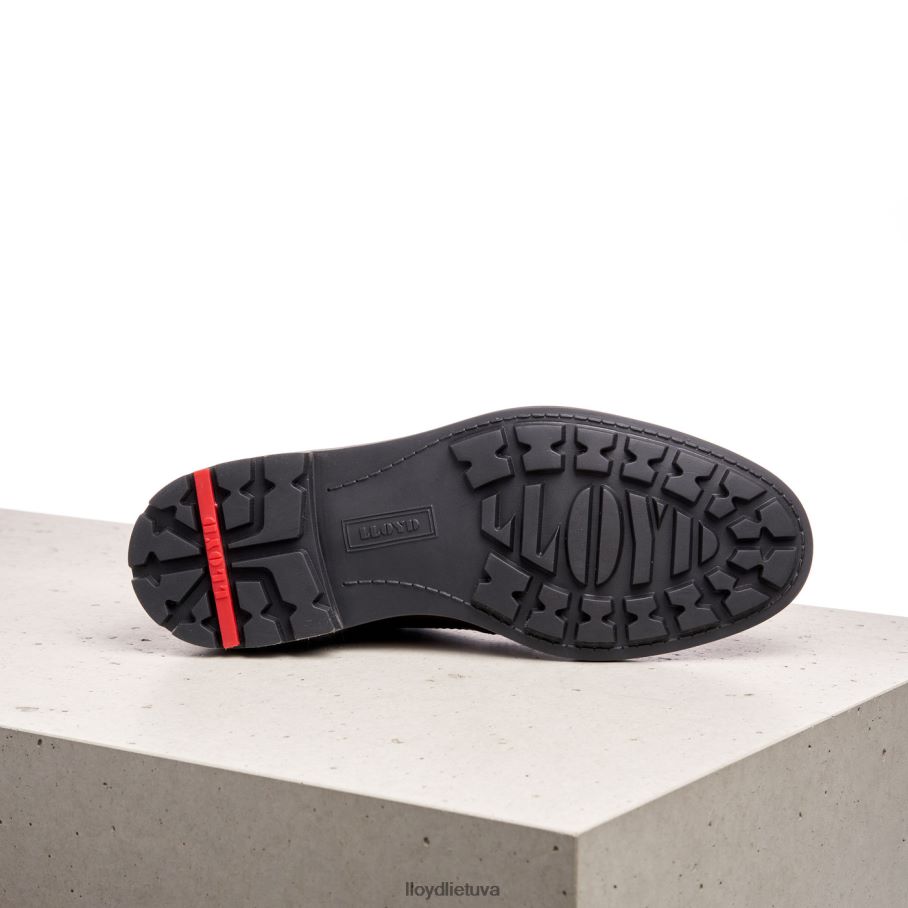 LLOYD vanja vyrų avalynė rudas VF40PZ576