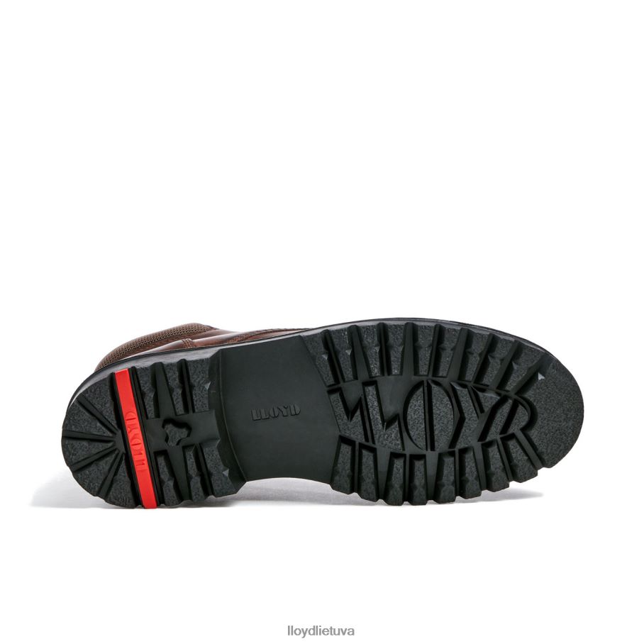 LLOYD vankuveris vyrų avalynė rudas VF40PZ534