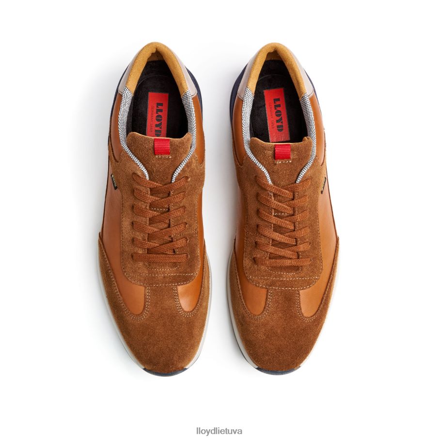 LLOYD vedea vyrų avalynė rudas VF40PZ322