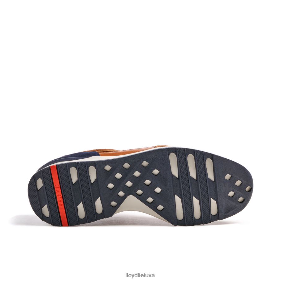 LLOYD vedea vyrų avalynė rudas VF40PZ322