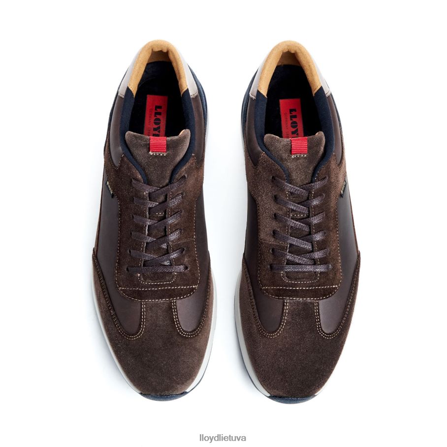 LLOYD vedea vyrų avalynė rudas VF40PZ323