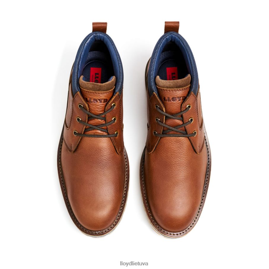 LLOYD vegasas vyrų avalynė rudas VF40PZ511