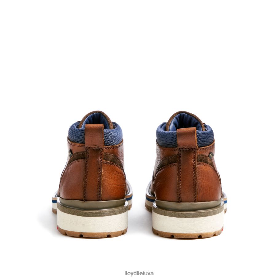 LLOYD vegasas vyrų avalynė rudas VF40PZ511