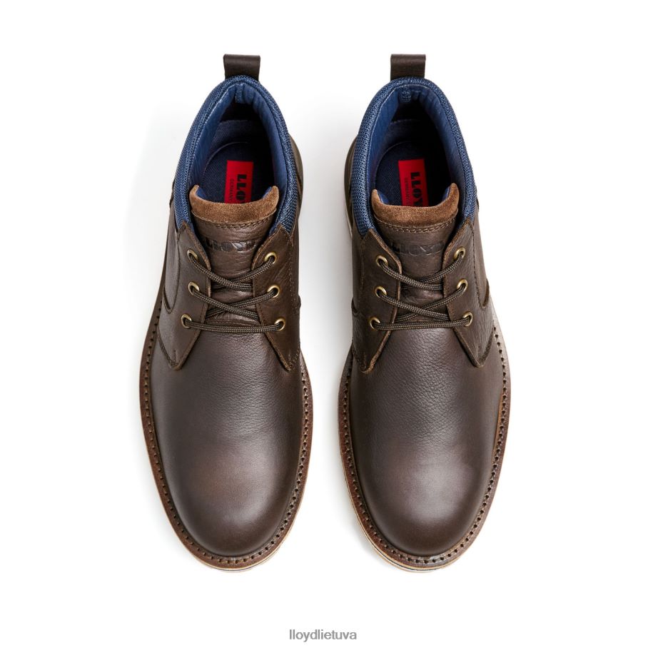 LLOYD vegasas vyrų avalynė rudas VF40PZ512