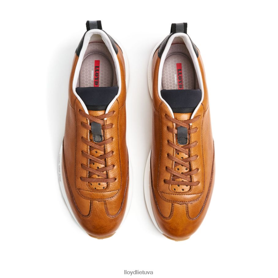 LLOYD velo 6 vyrų avalynė rudas VF40PZ435