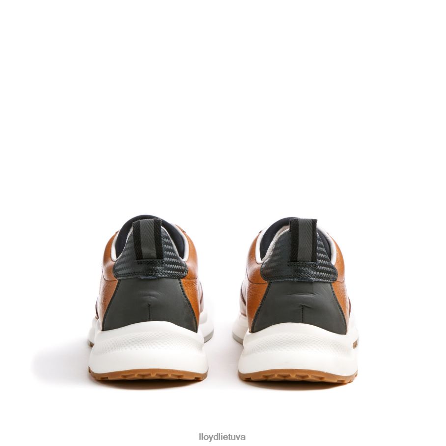 LLOYD velo 6 vyrų avalynė rudas VF40PZ435