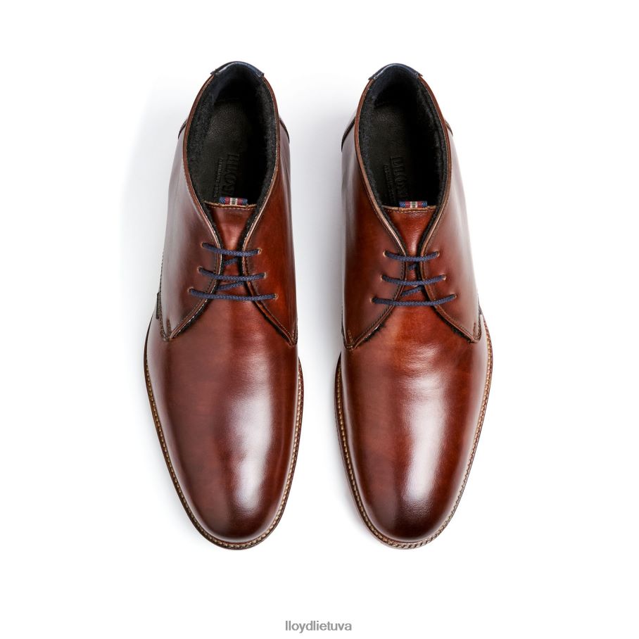 LLOYD verdonas vyrų avalynė rudas VF40PZ138