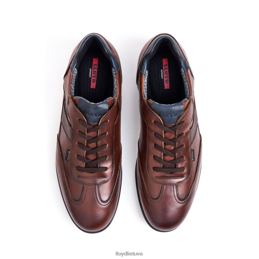 LLOYD vernonas vyrų avalynė rudas VF40PZ136