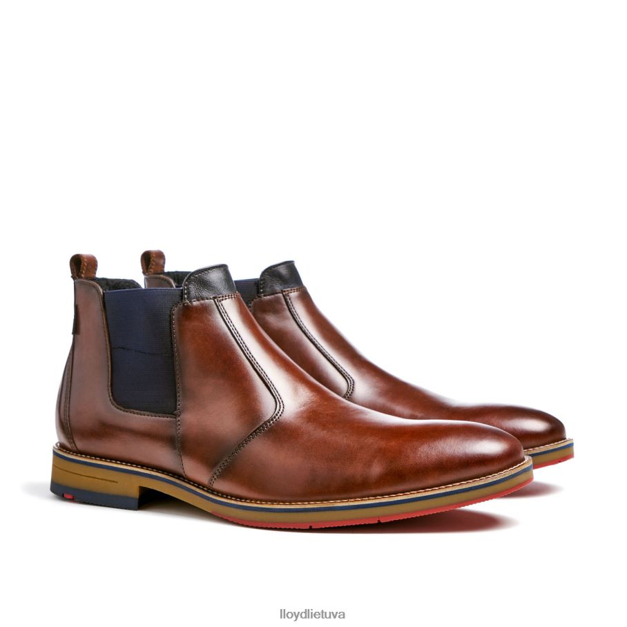 LLOYD vesuv vyrų avalynė rudas VF40PZ145