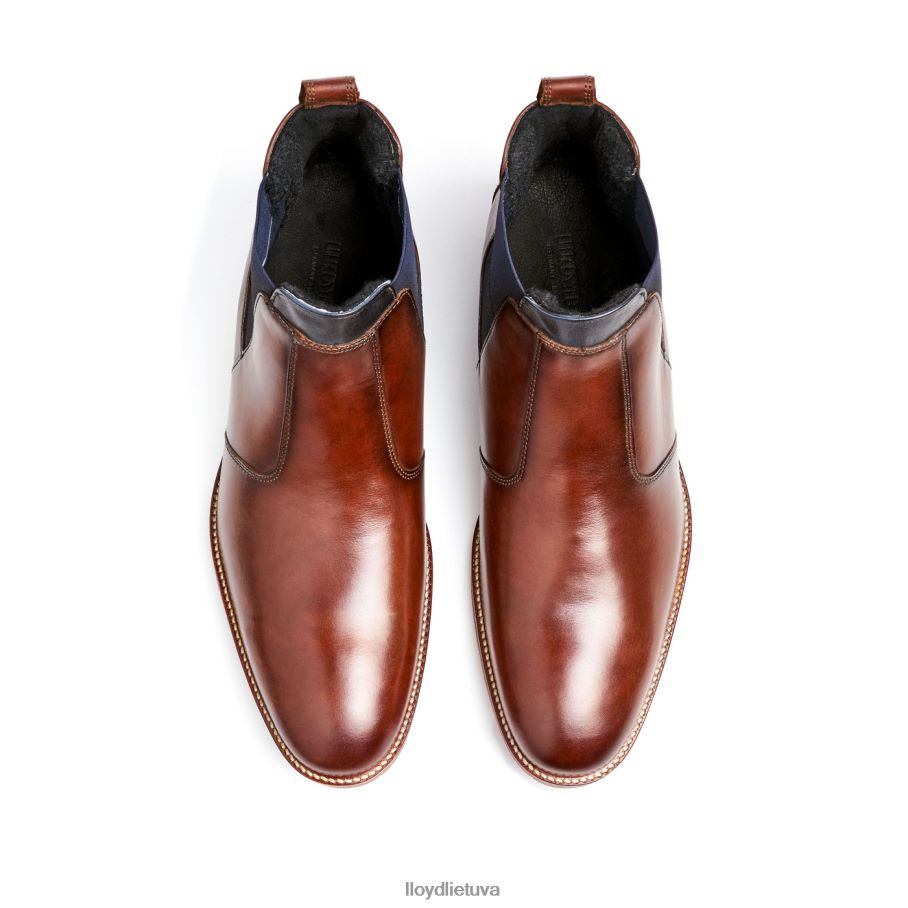 LLOYD vesuv vyrų avalynė rudas VF40PZ145