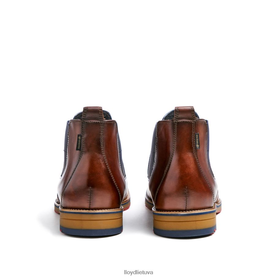 LLOYD vesuv vyrų avalynė rudas VF40PZ145