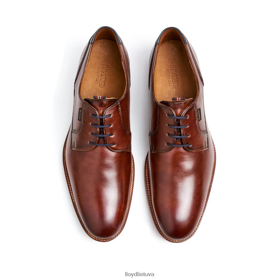 LLOYD vikeriai vyrų avalynė rudas VF40PZ122