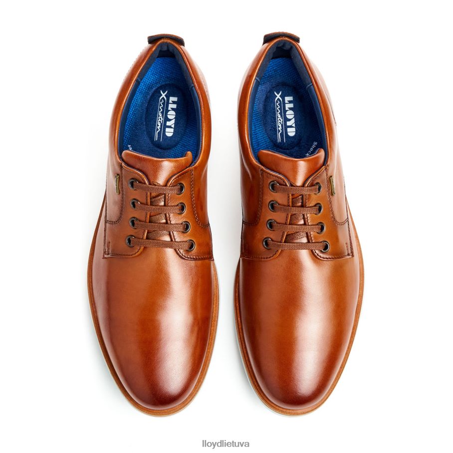 LLOYD vin vyrų avalynė rudas VF40PZ139