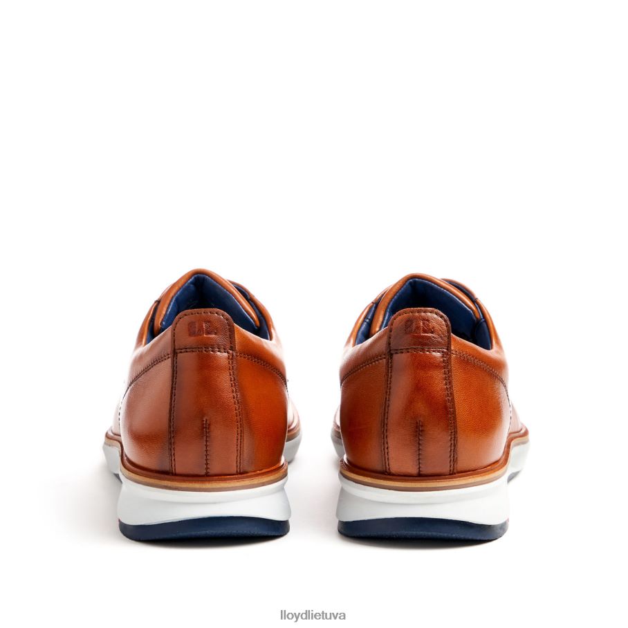 LLOYD vin vyrų avalynė rudas VF40PZ139