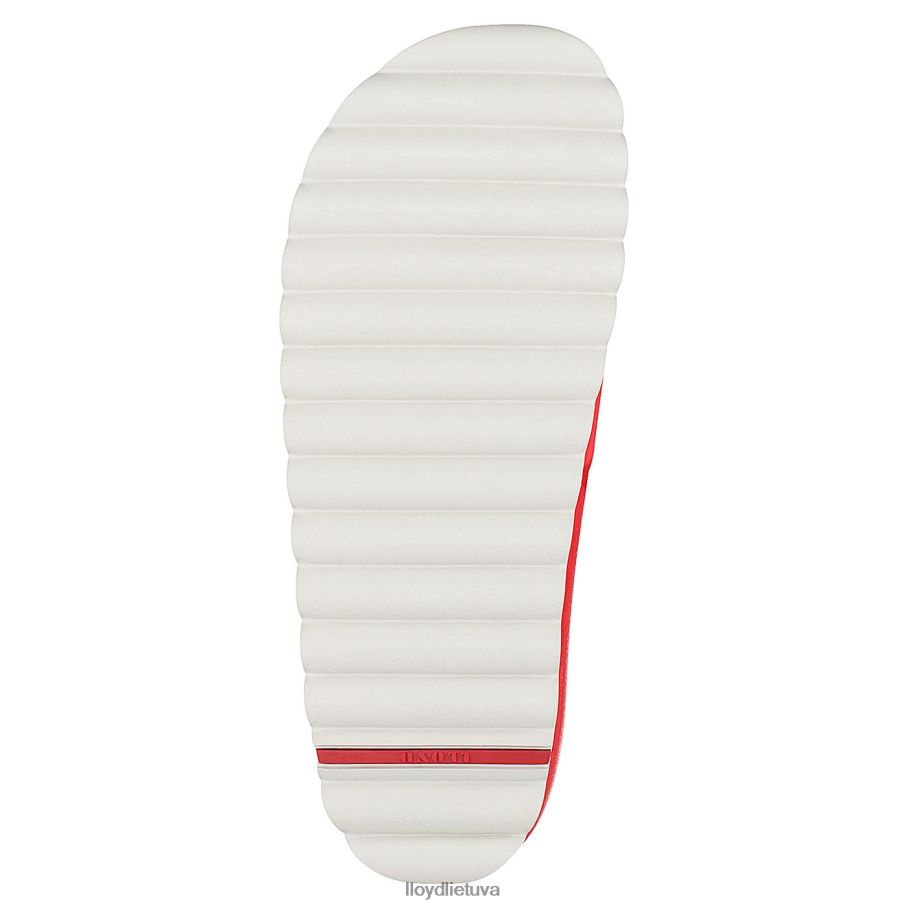 LLOYD vonios kalneliai moterys avalynė raudona VF40PZ1317