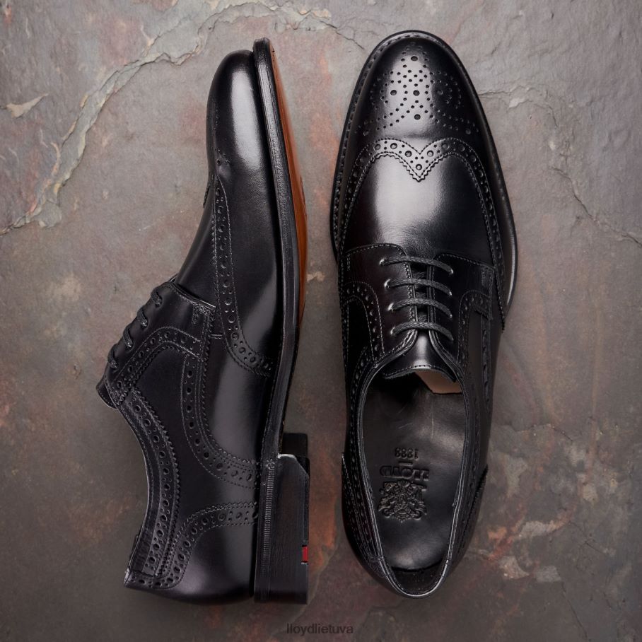 LLOYD waltham vyrų avalynė juodas VF40PZ70