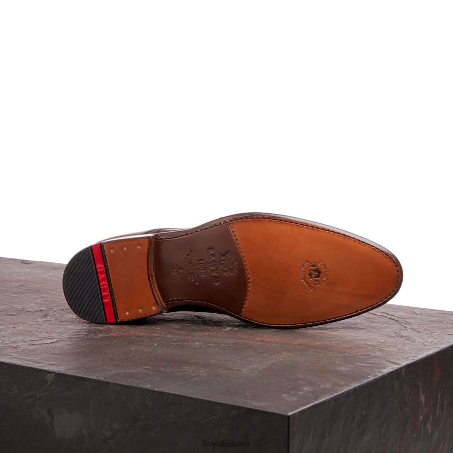 LLOYD wilko vyrų avalynė rudas VF40PZ185