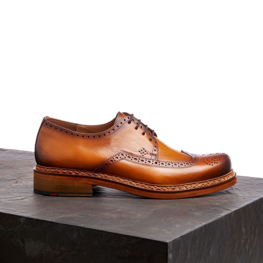 LLOYD wotan vyrų avalynė rudas VF40PZ163