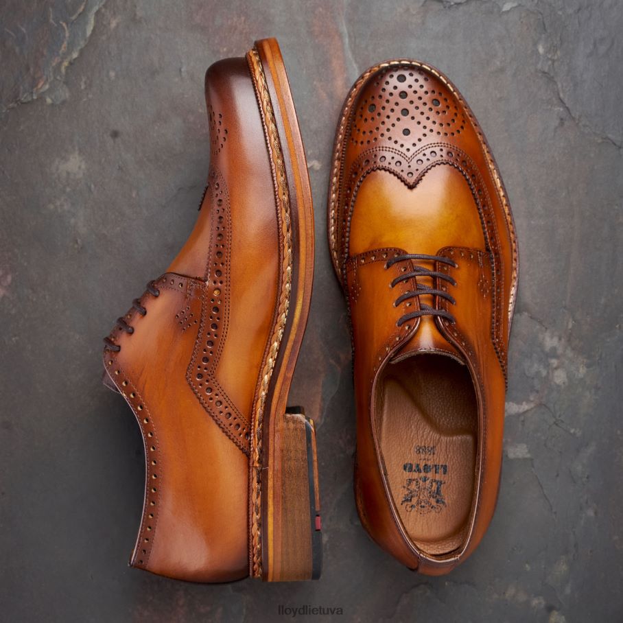 LLOYD wotan vyrų avalynė rudas VF40PZ163