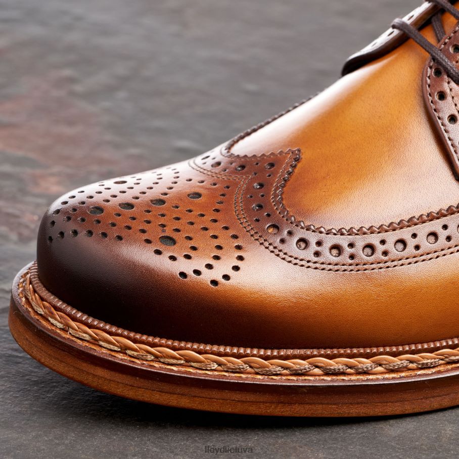 LLOYD wotan vyrų avalynė rudas VF40PZ163