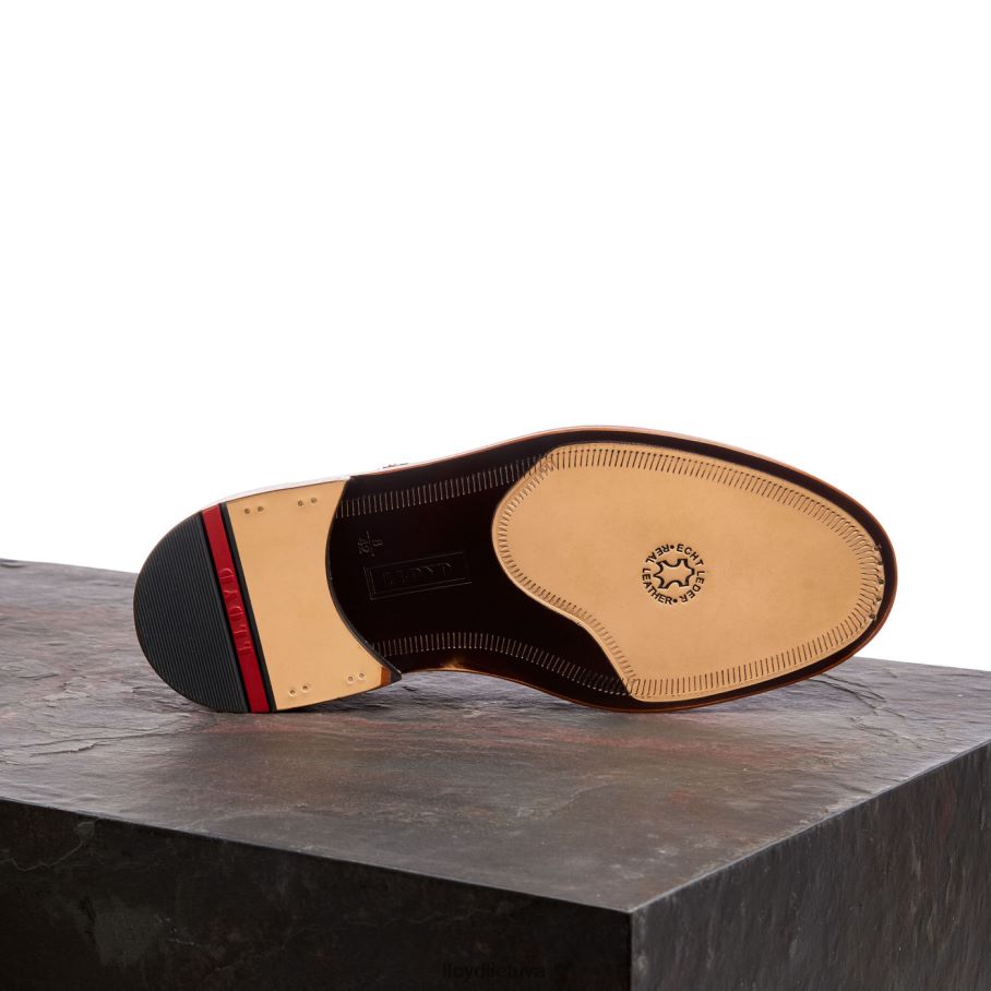 LLOYD wotan vyrų avalynė rudas VF40PZ163