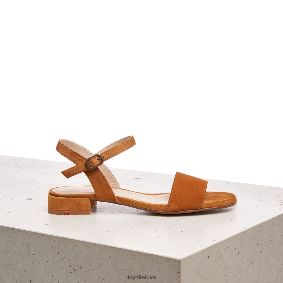 LLOYD zomšos paviršiaus sandalai moterys avalynė rudas VF40PZ1158