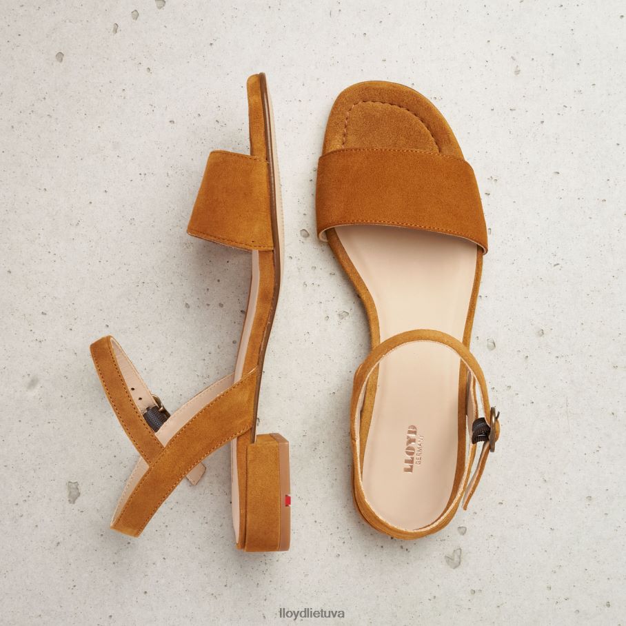 LLOYD zomšos paviršiaus sandalai moterys avalynė rudas VF40PZ1158