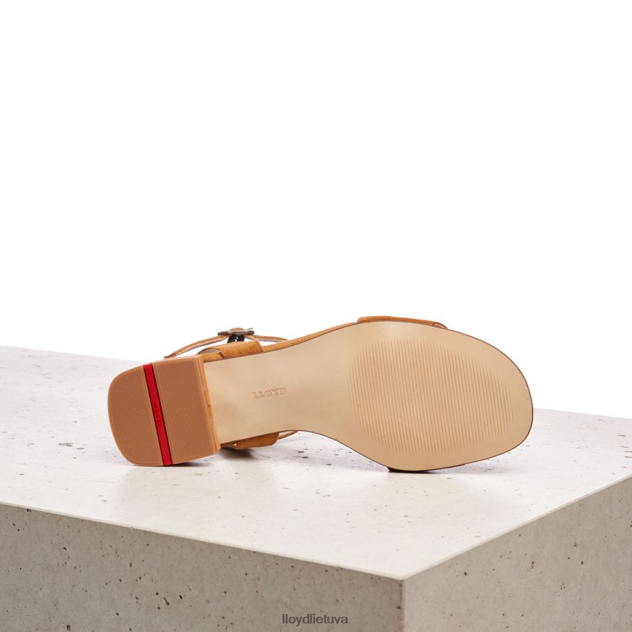 LLOYD zomšos paviršiaus sandalai moterys avalynė rudas VF40PZ1158