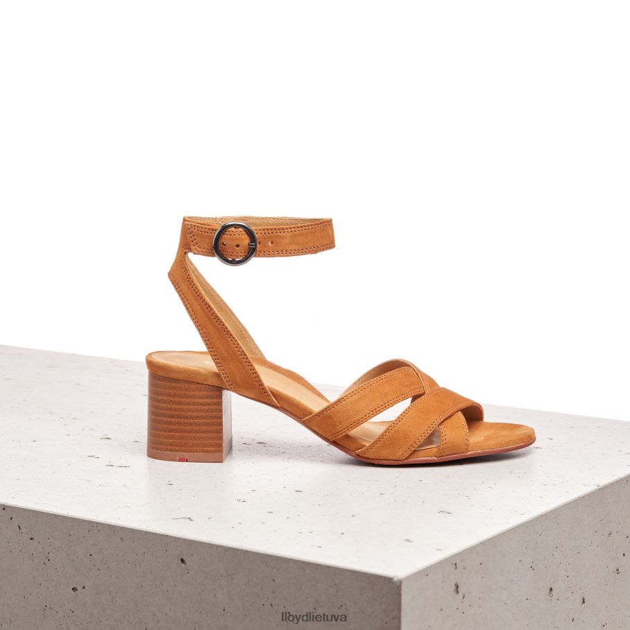 LLOYD zomšos sandalai moterys avalynė rudas VF40PZ1155