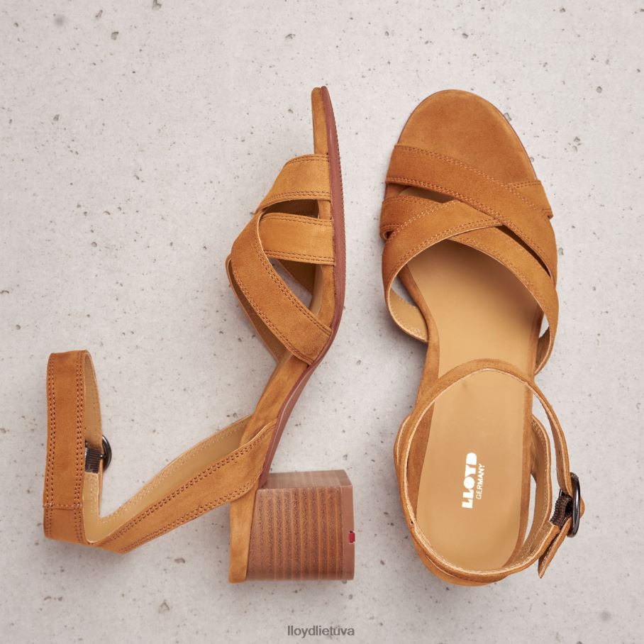 LLOYD zomšos sandalai moterys avalynė rudas VF40PZ1155