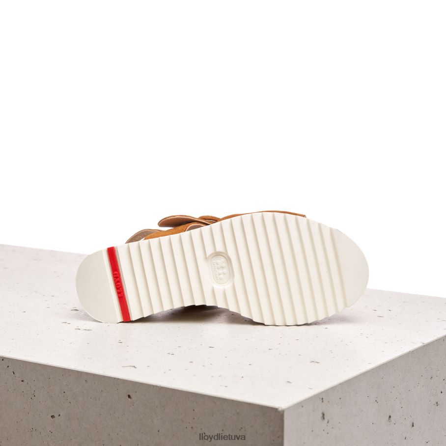 LLOYD zomšos sandalai moterys avalynė rudas VF40PZ1214