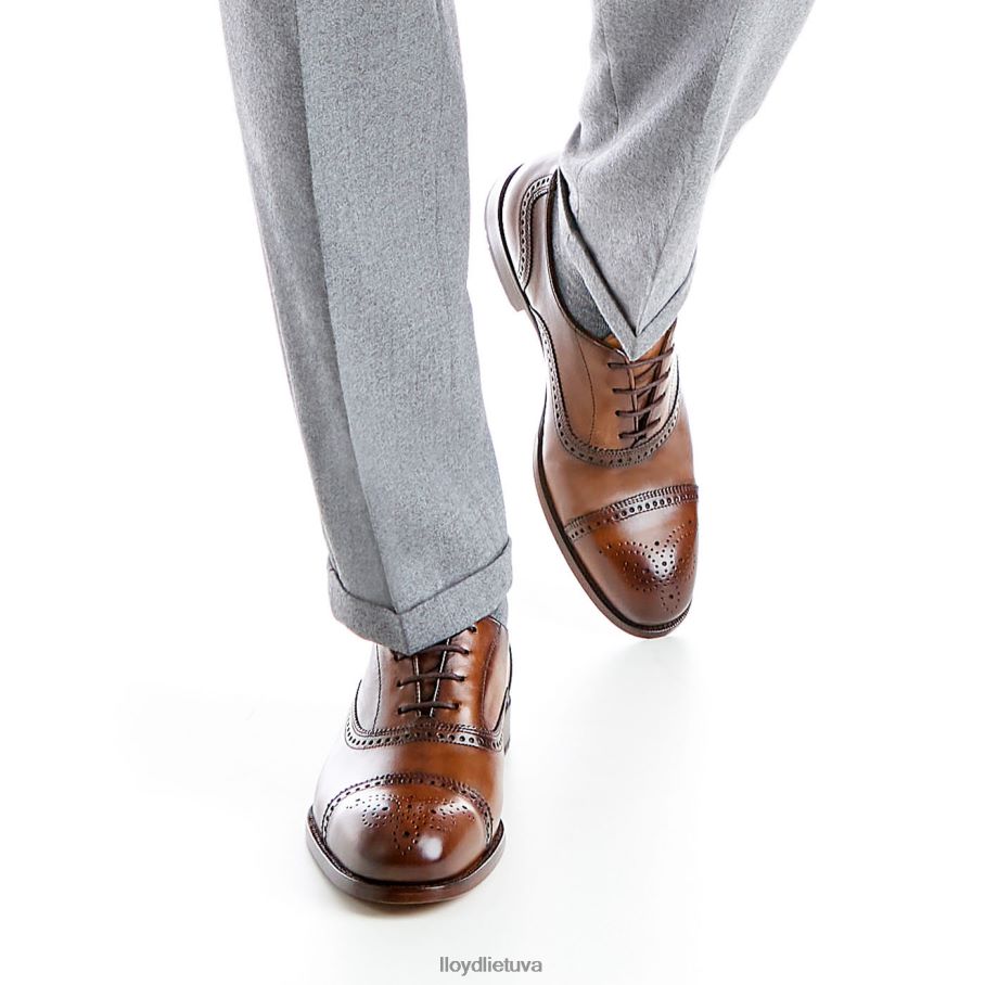 LLOYD Šefildas vyrų avalynė rudas VF40PZ219