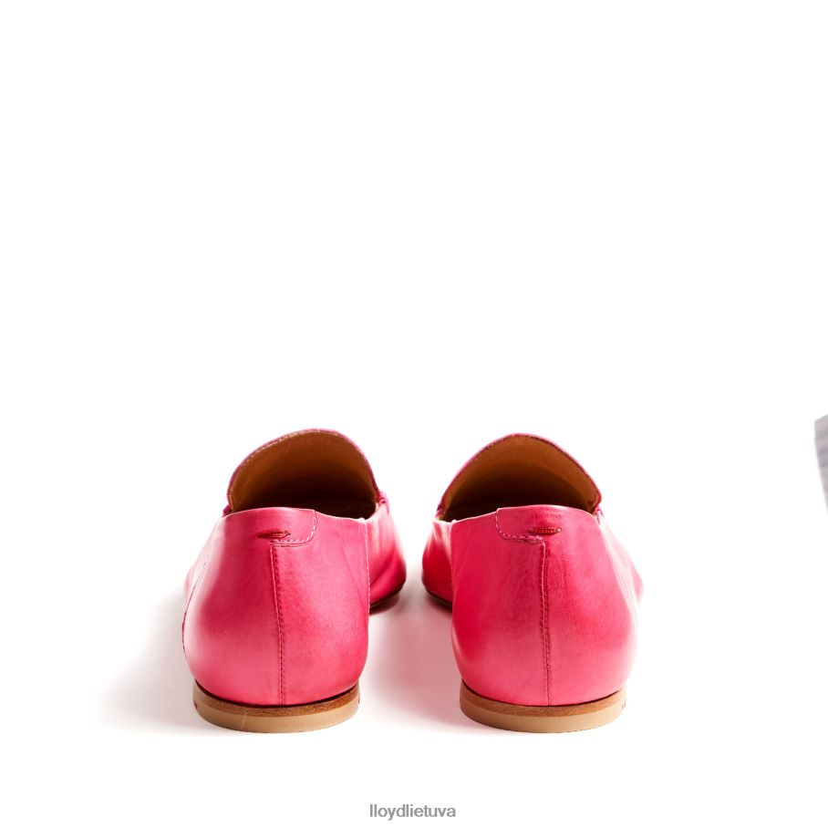 LLOYD žavinga šlepetė moterys avalynė rožinis VF40PZ1261