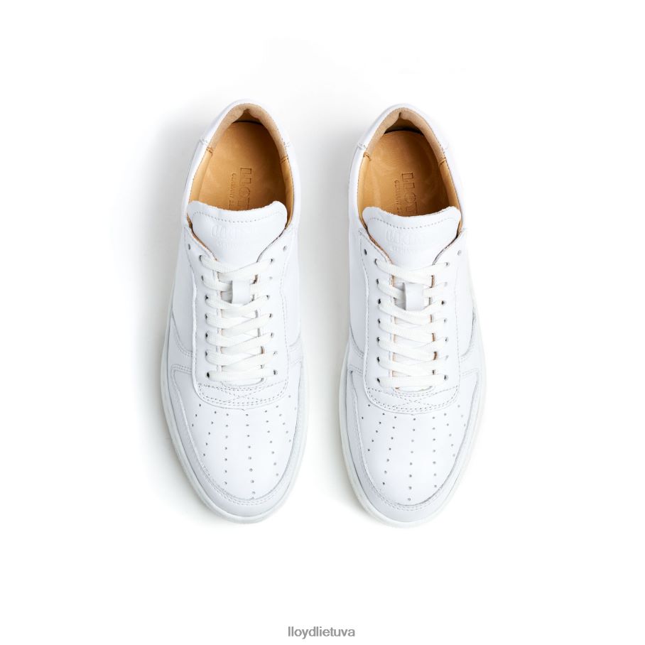 LLOYD žemi odiniai sportbačiai moterys avalynė baltas VF40PZ765