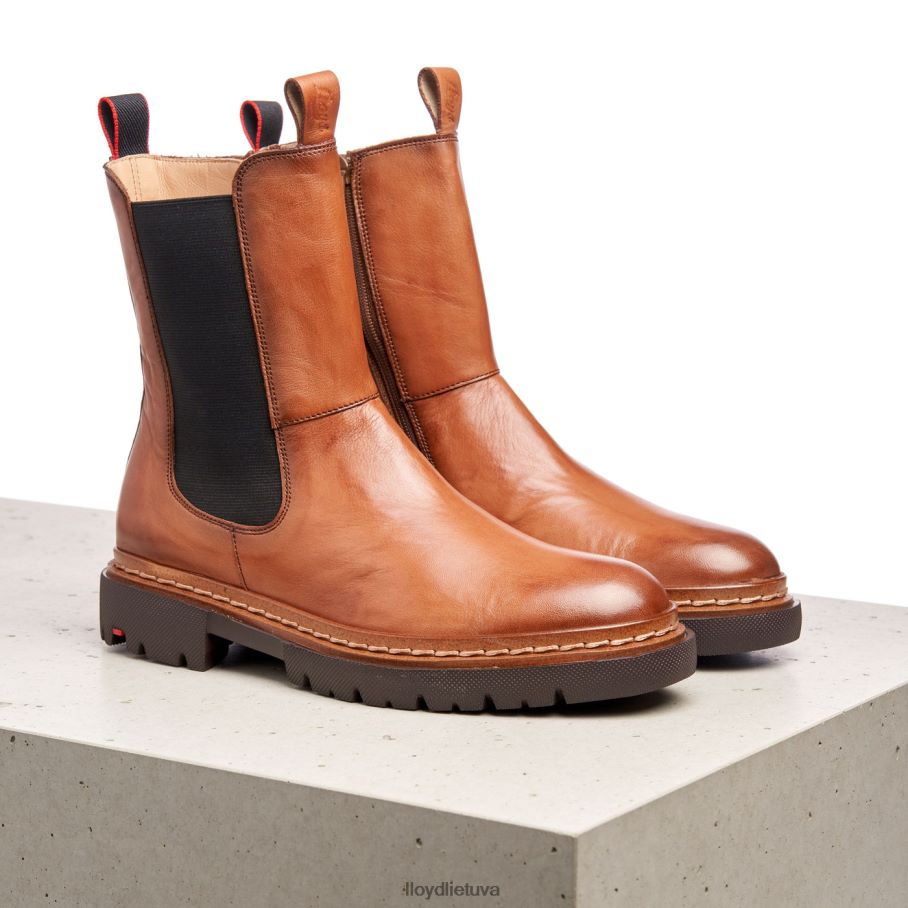 LLOYD stiefelette moterys avalynė rudas VF40PZ963