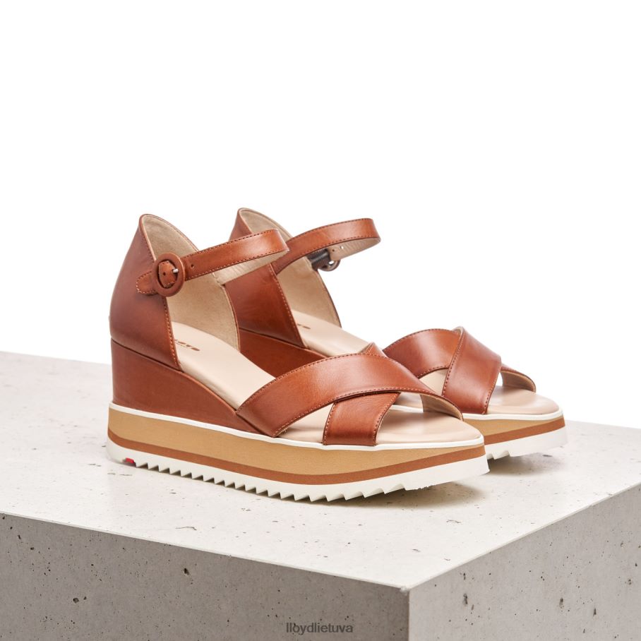 LLOYD pleištiniai sandalai moterys avalynė rudas VF40PZ1204