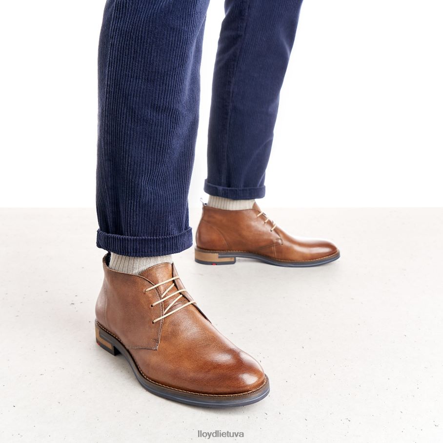 LLOYD Danielius vyrų avalynė rudas VF40PZ549