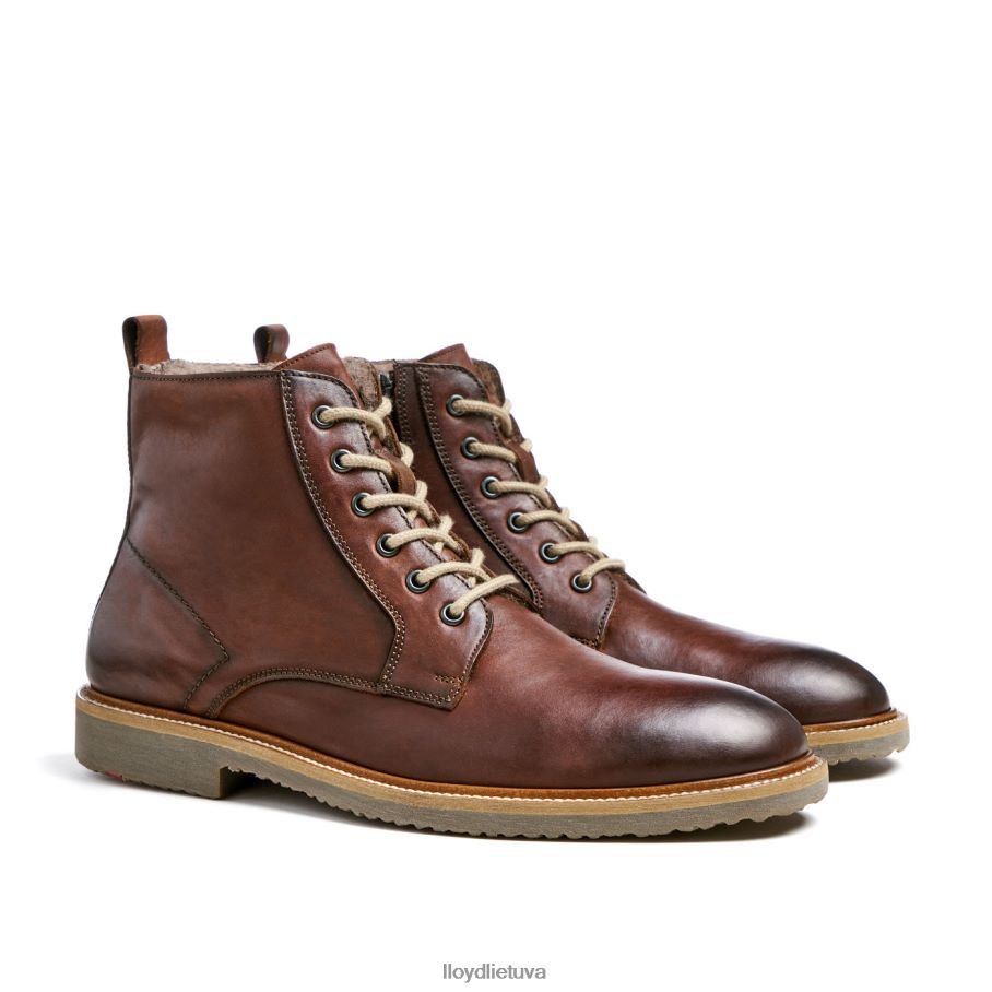 LLOYD darvinas vyrų avalynė rudas VF40PZ475