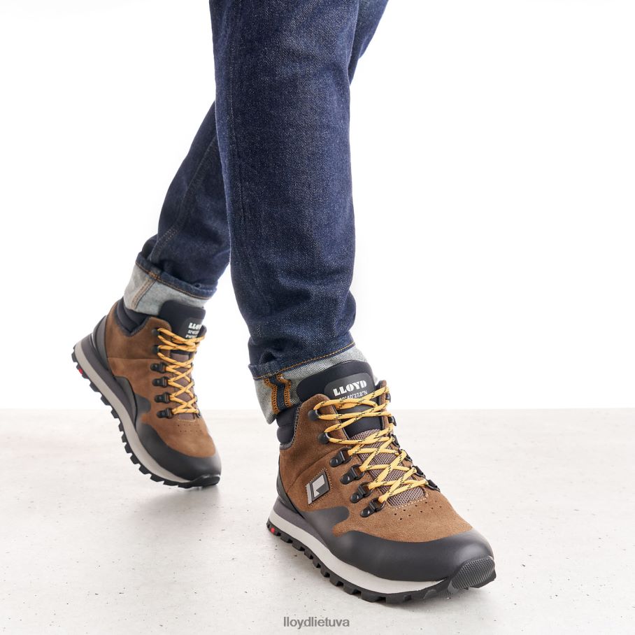 LLOYD elwas vyrų avalynė rudas VF40PZ551