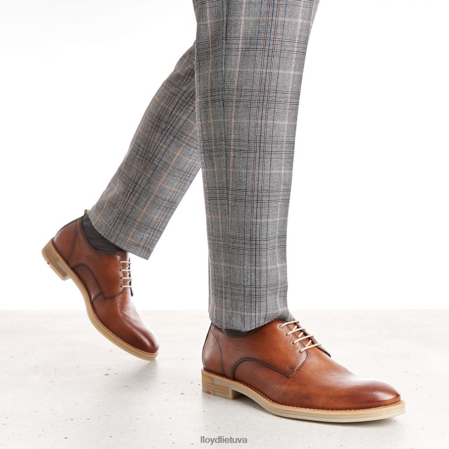 LLOYD dakota vyrų avalynė rudas VF40PZ608