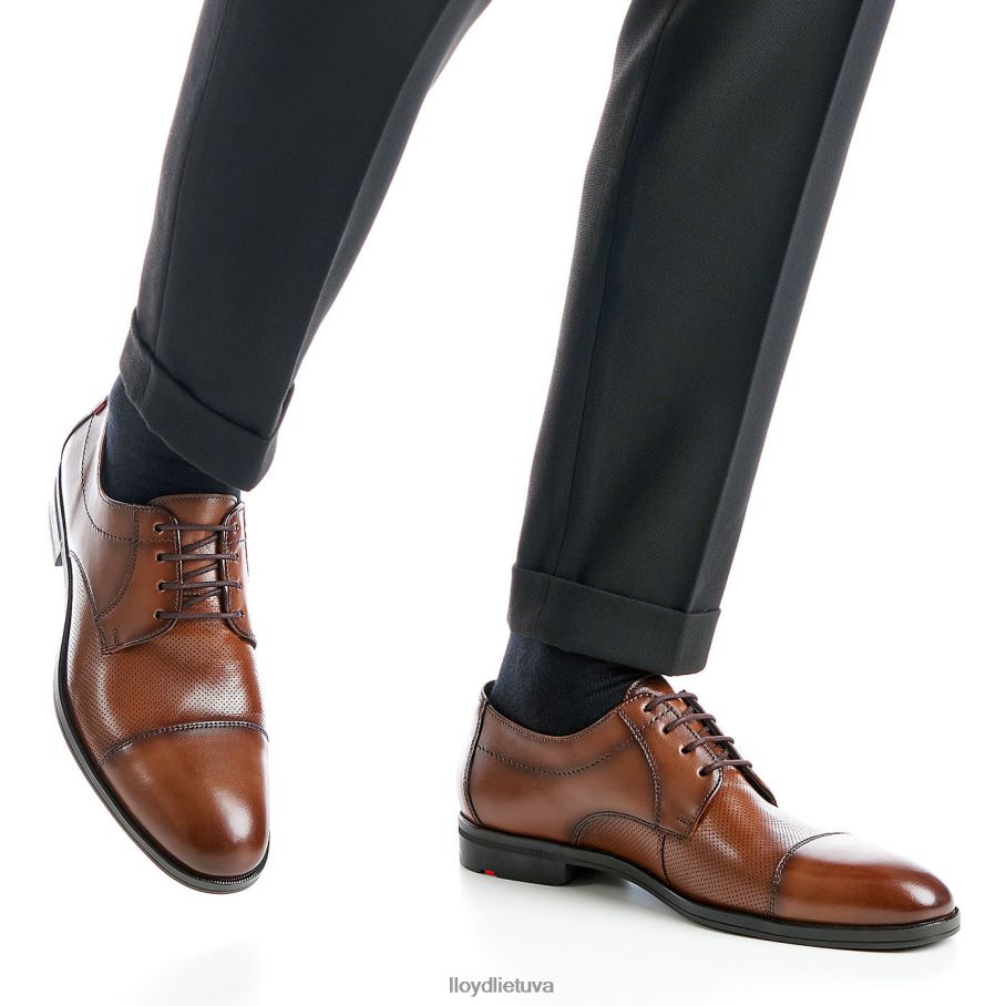 LLOYD folco vyrų avalynė rudas VF40PZ15