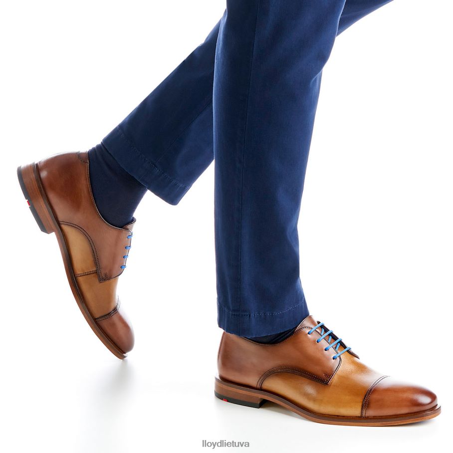 LLOYD rick vyrų avalynė rudas VF40PZ216