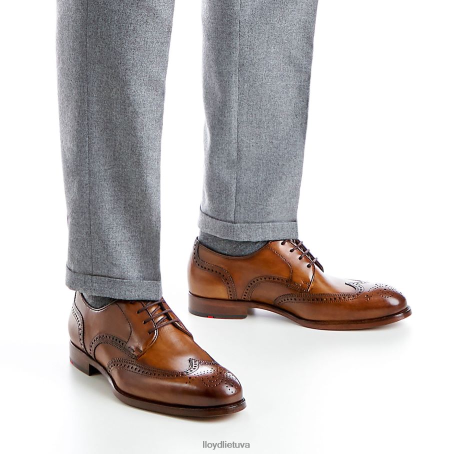 LLOYD sheridanas vyrų avalynė rudas VF40PZ205