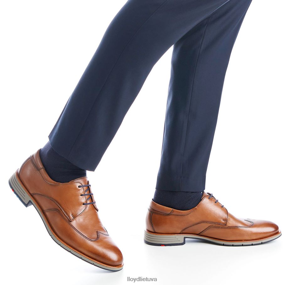 LLOYD tailoras vyrų avalynė rudas VF40PZ1325