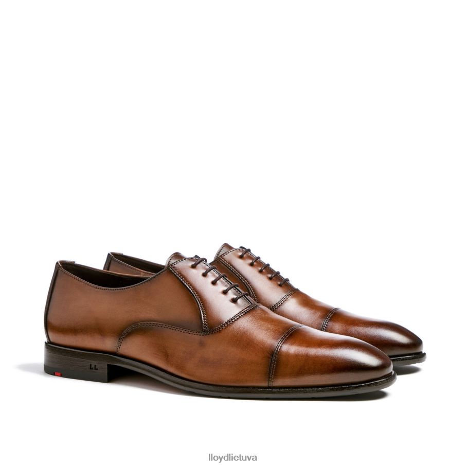 LLOYD baseinas vyrų avalynė rudas VF40PZ1